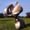 Steel; 282cm high x 193cm x 211cm; 1995. As sited at Kildrummy Castle, Aberdeenshire, Scotland; purchased for the University of Stirling Art Collection, 2011.