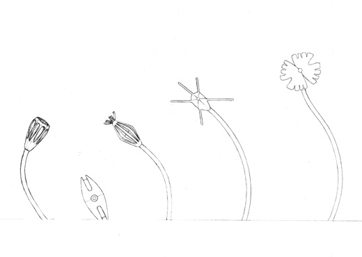 drawings_main drawings_main